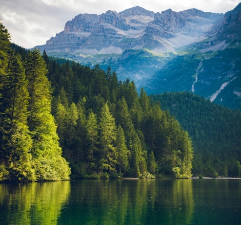 What is Lorem Ipsum?