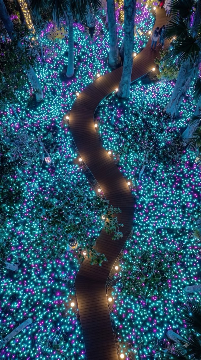 Lễ hội Dừa Bến Tre 2019: khi ý tưởng bị chê lại được chọn